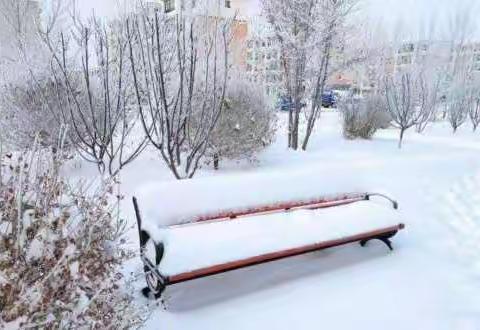 【附中学子这样过寒假】为祖国贡献   体育场铲雪——忻州师院附中初336班任子聪2022年寒假社会实践活动小记