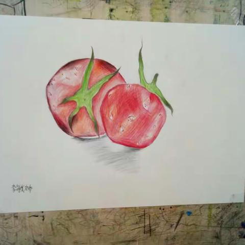 素描提高班《番茄》。水淋淋的番茄来啦～