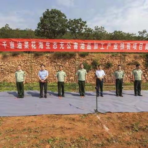 方山镇油菜花海产业扶贫基地开工了！！！