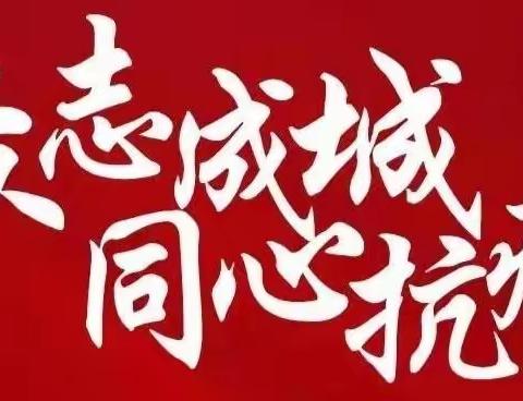 “疫”然不异然，共“课” 时艰;   毅然也决然，同守初心    ——高二年级组线上教学工作阶段性总结