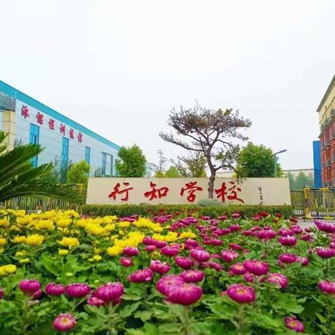 爱与守护，我们始终在行动