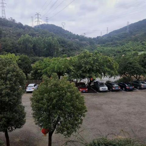 2019厦顺女员工～三八妇女节活动花絮