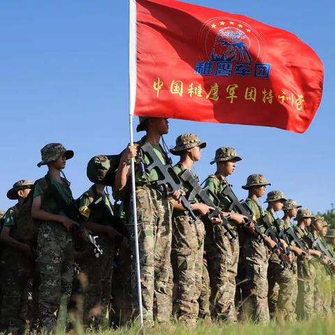 中国稚鹰军团特训营第7期军训花絮