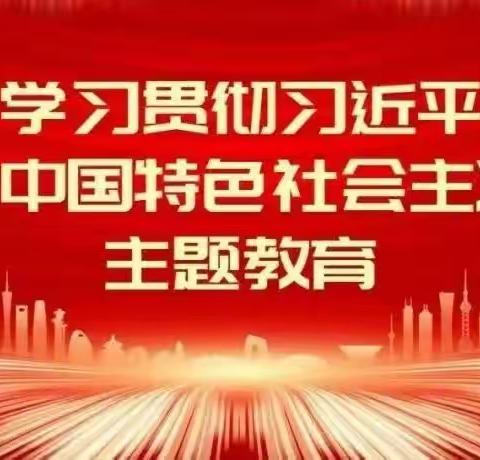 新县啟福小学党支部深入开展学习贯彻习近平新时代中国特色社会主义思想主题教育