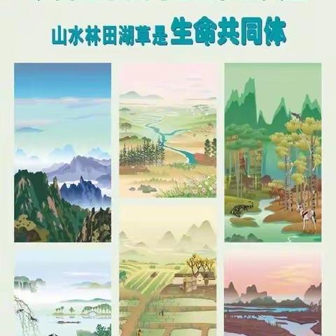 【爱护地球】接地气，节能尽一份力；有朝气，环保多一点心——实验小学综合实践活动之爱护地球篇