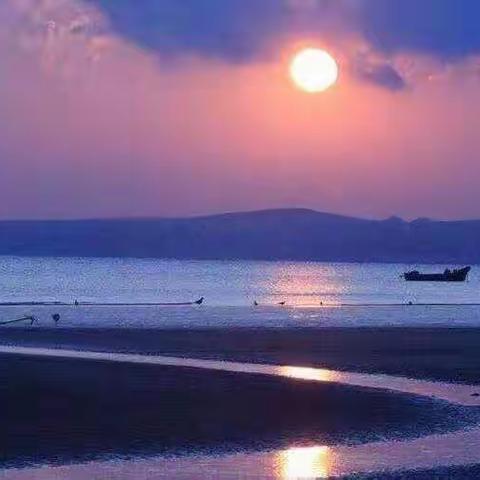 上善若水的美篇