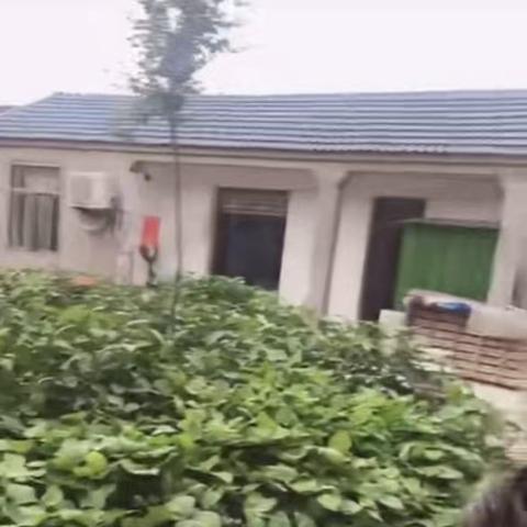 春到李思寨：一份跨越千里的外卖孝心