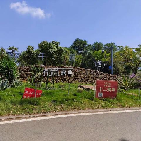 南山放牛村