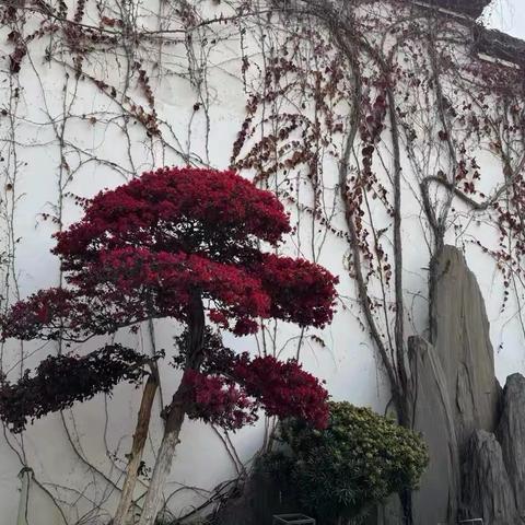 三月下江南之相约衢州