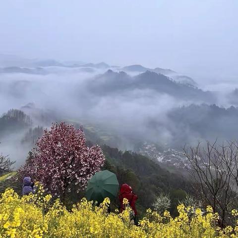 三月下江南之石潭云海之约