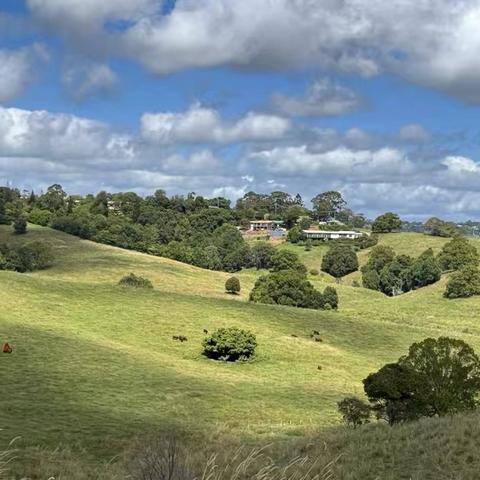 Montville的梦幻之旅