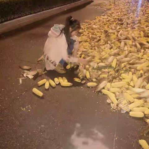 国庆节假期作业