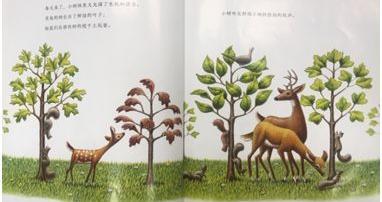 生命教育绘本《小树的四季》