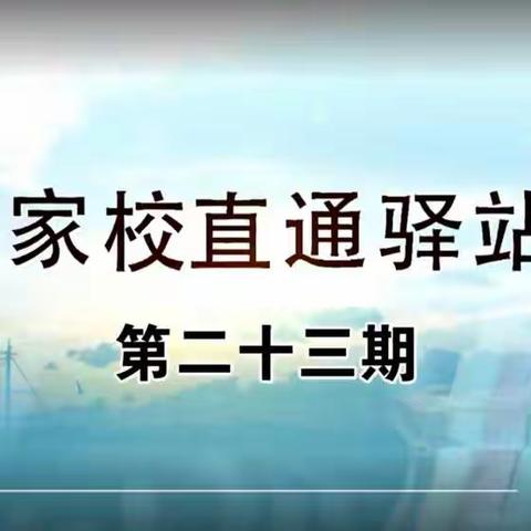 科区实验小学四年四班第一组林小荷《别在把放任不管，当做“静待花开”》