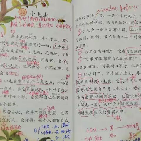 以检查促规范,以规范促提升——太平小学语文组5月常规检查