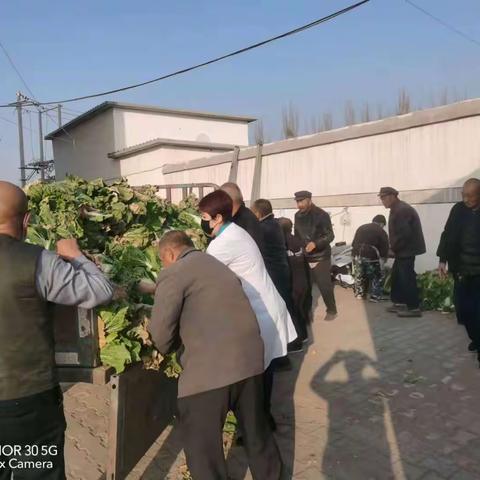 暖心!菜农大气捐赠五万斤蔬菜，10余名志愿服务到田间 助农收菜暖民心