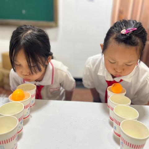 童心飞扬，快乐成长——南屏镇南岛河小学欢庆六一儿童节系列活动精彩纷呈