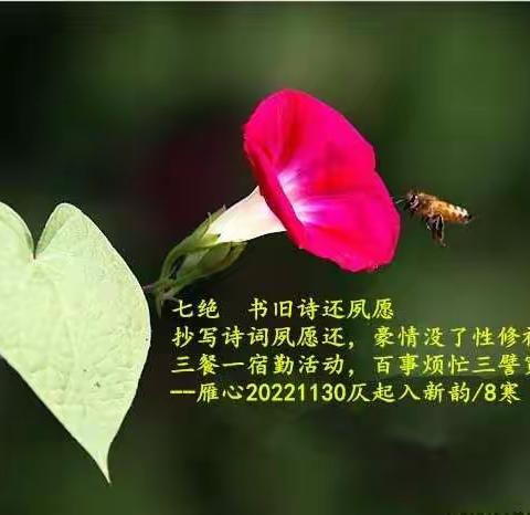 （六）我的诗词2022-