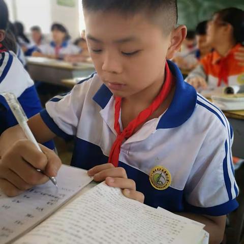 郑国栋六年级上册百字作文选