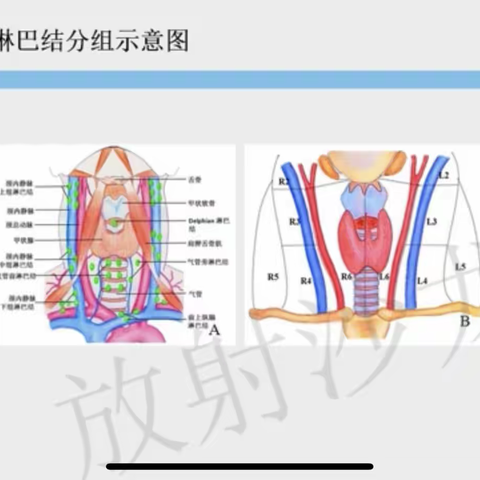 颈部淋巴结增大