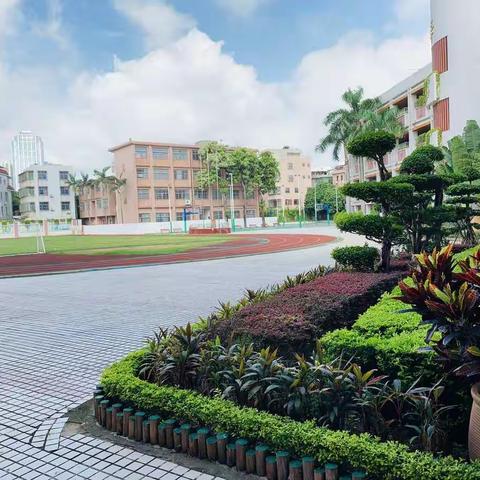 暖冬迎视导、研讨促提升——振新小学喜迎龙岗教研中心视导工作