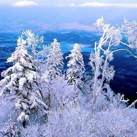 雪中放歌（新诗）
