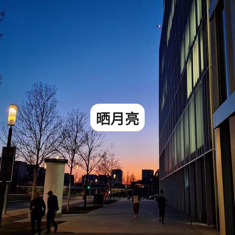 城市暮色中的徒步之旅