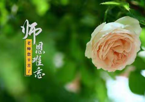 春风化雨润花蕊，三尺讲台写春秋 ——金山咀神埠小学教师节活动