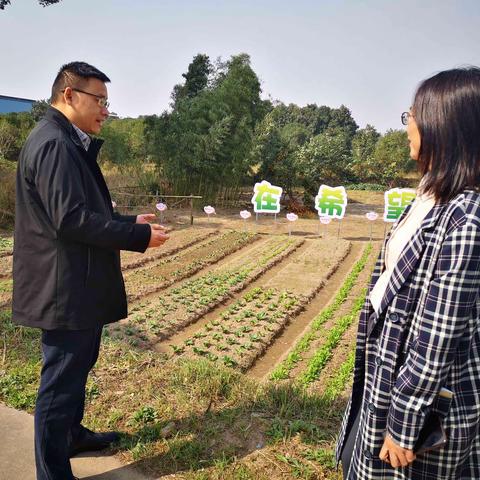 十一月，向晴朗的季节奔跑——巨化三小柯山校区第十、十一周值周小结