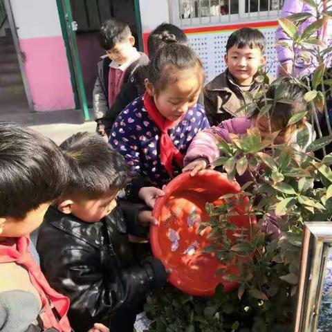 播撒绿意，拥抱春天——朱阁一小植树节活动