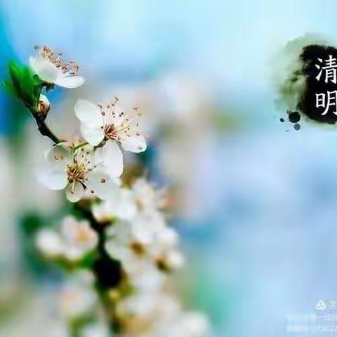 曹小一 “🌱清明佳节，青团飘香🌱”清明节系列活动