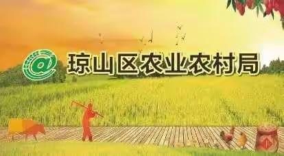 海口市琼山区新民林场开展2020年度年终考核工作