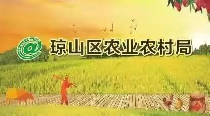 海口市琼山区新民林场党支部开展春节走访慰问活动