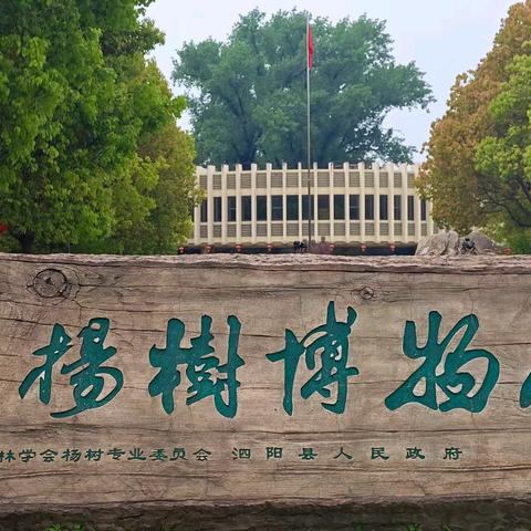 中国杨树博物馆印记