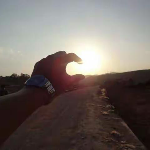 心有猛虎，细嗅蔷薇。