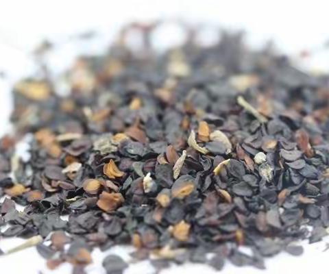 康乃馨观察日记（副本）（副本）