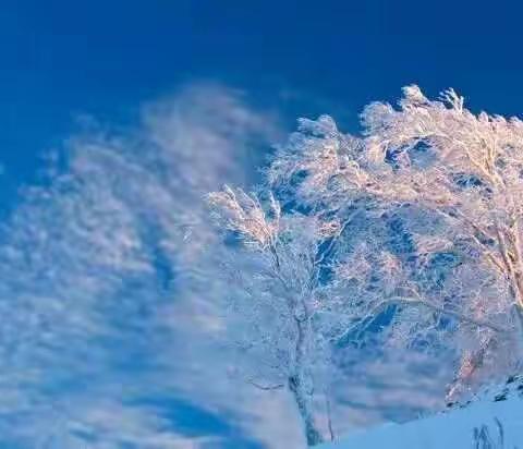 期盼一场雪的到来