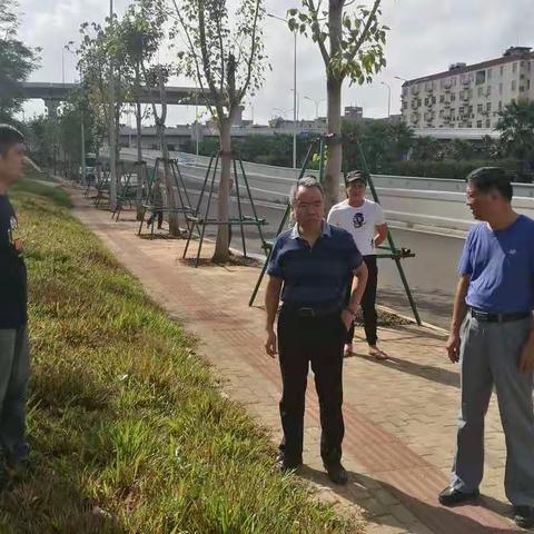 杨树坤副区长现场调研海秀快速路（秀英段）两侧景观整治工程项目