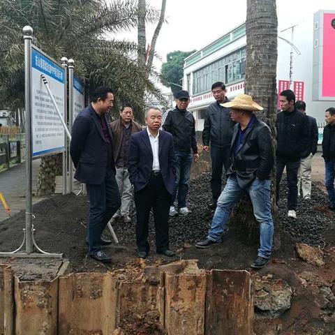 杨树坤副区长到东山镇现场调研镇墟改造项目