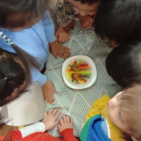 颜色大集合—哈灵教育·花园幼儿园“科学之旅”课程故事