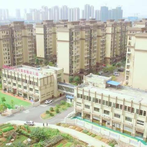 索菲雅幼儿园乐高课