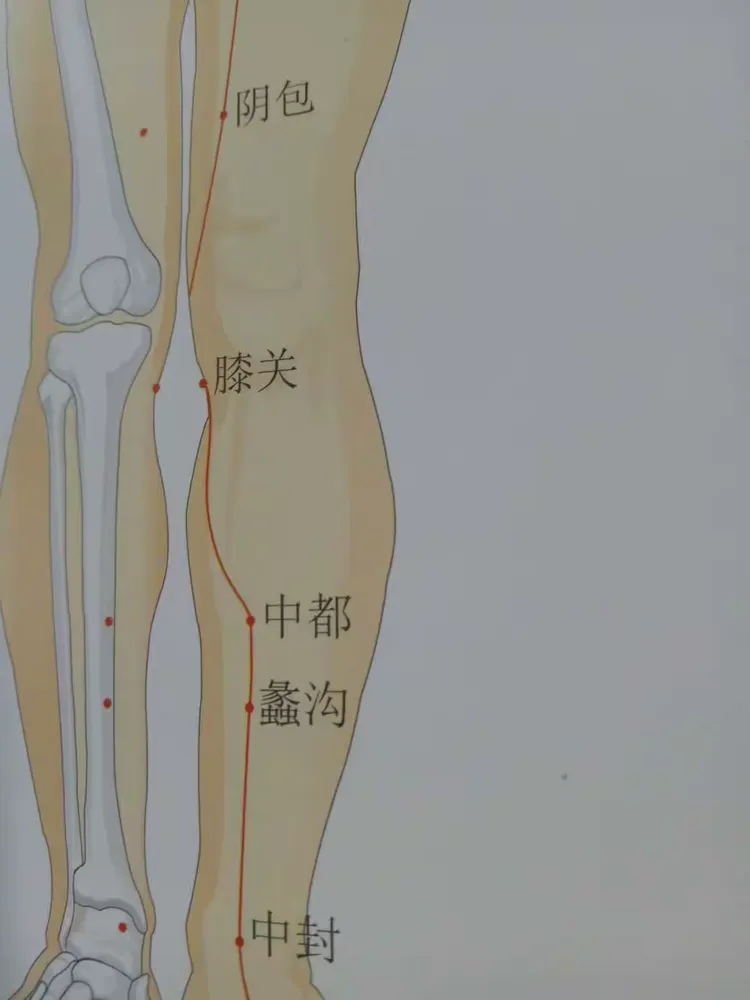 【经络养生讲座】〖二〗特定穴〈下〉王文老师主讲——2019年3月22日