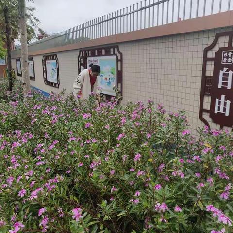 校园花已开，静待燕归来——东坑小学返校复学指南