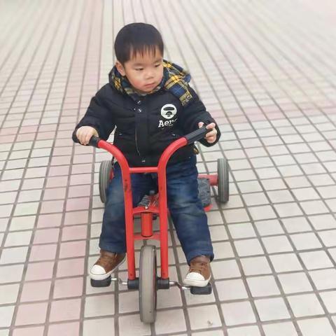 紫东伟才幼儿园星星二班快乐的一周