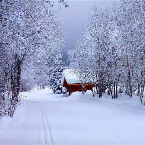 20191213薛店庙东陈小学“班班有读，共享乐读”校级共享主题“雪”