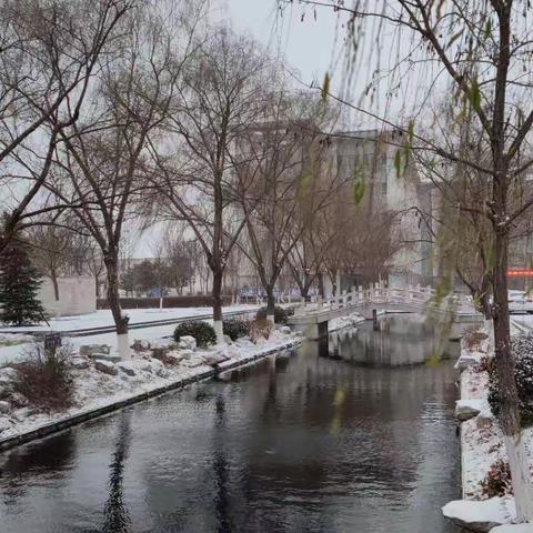 一树冬雪，心向春行——淄博市初中语文统编教科书写作课程教学化专题研讨会在周村区实验中学召开