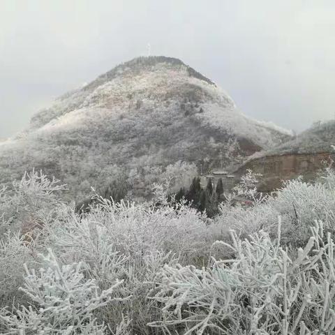 雾凇禹王山