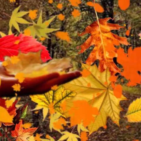 你的善良要给对人