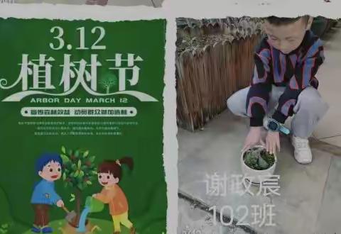 春种一粒粟，秋收万颗子——遂昌实验小学102班白马少年们的植树节！2022.3.12