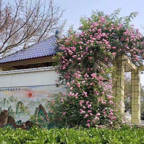 柳暗花明开学时，防控疫情复学习！——归德镇马沿小学复学告家长书